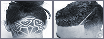 sponsor-image